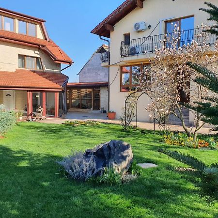Casa Irinella Bed & Breakfast Satu Mare Luaran gambar