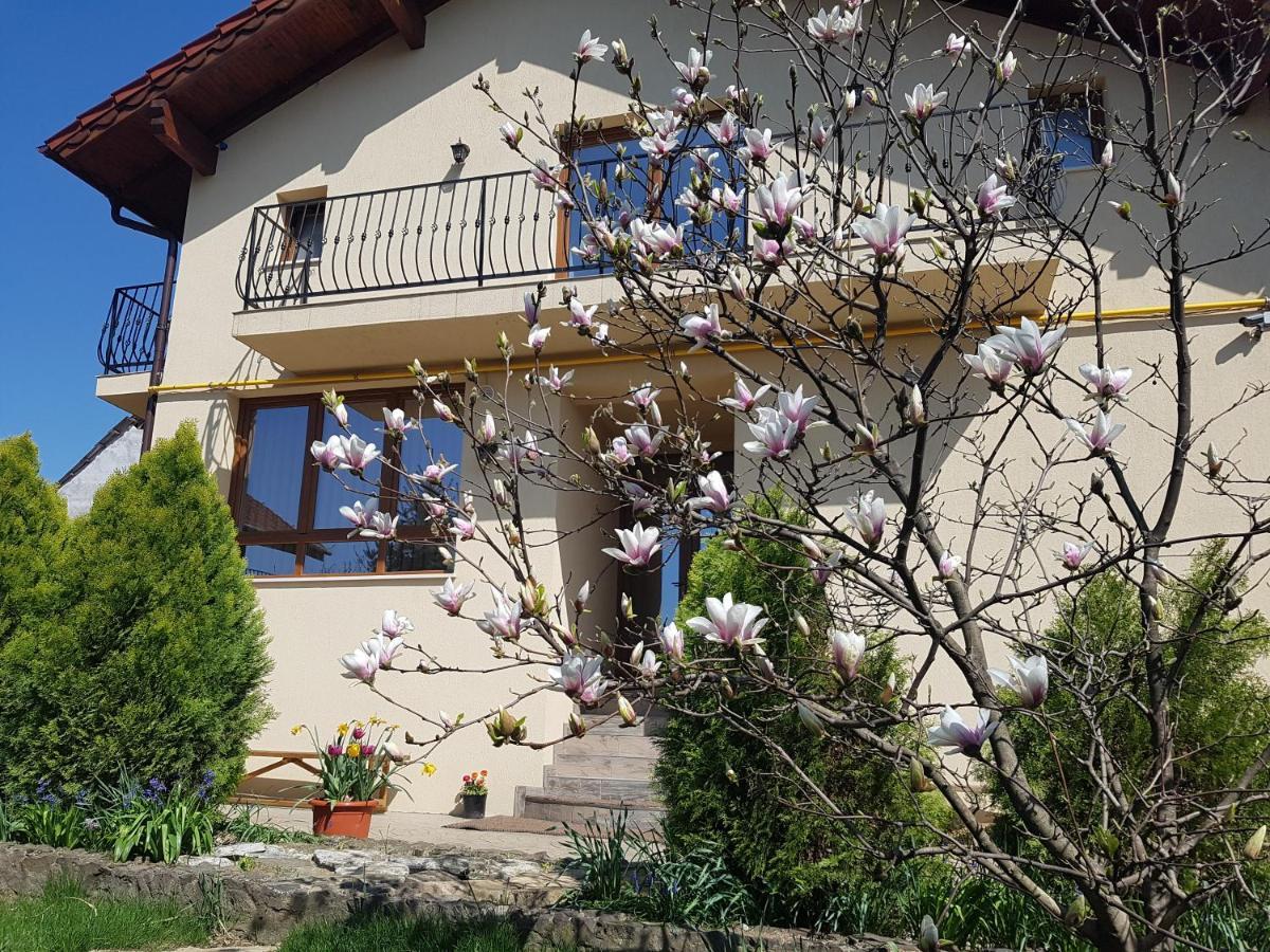 Casa Irinella Bed & Breakfast Satu Mare Luaran gambar