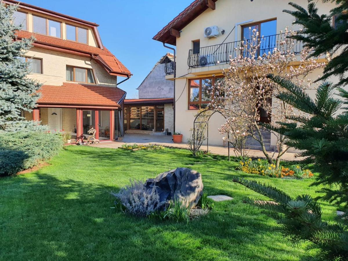 Casa Irinella Bed & Breakfast Satu Mare Luaran gambar